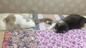 古龙群侠传
