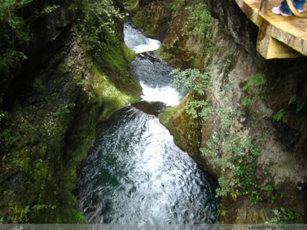 海南采纳网友建议提升旅游体验 欢迎中外游客到美丽阳光海岛欢欢喜喜过大年