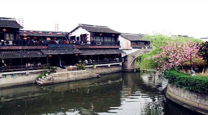 用手喂鹦鹉时它突然从你手中飞走怎么办？游戏画面